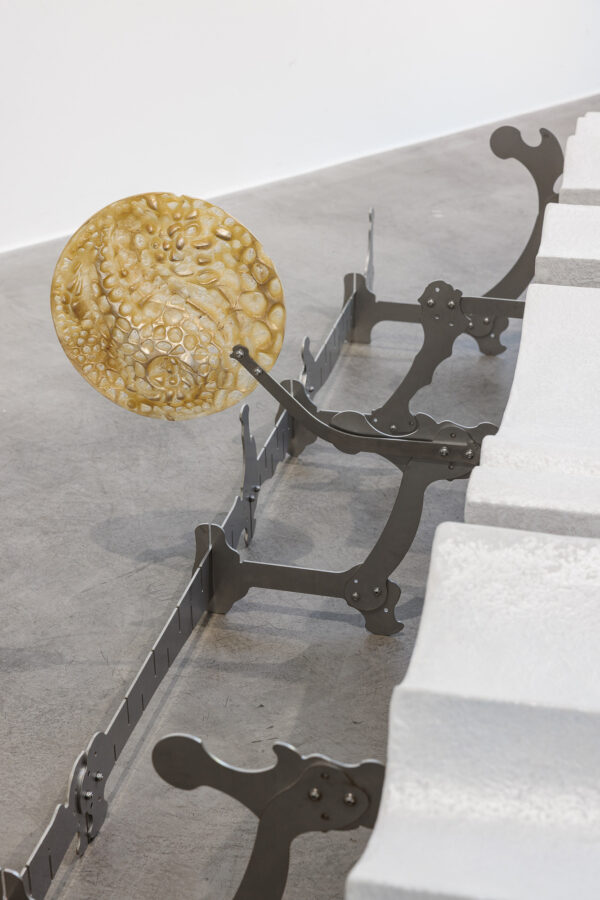 2025 11 05 Livia Klein 000425 web